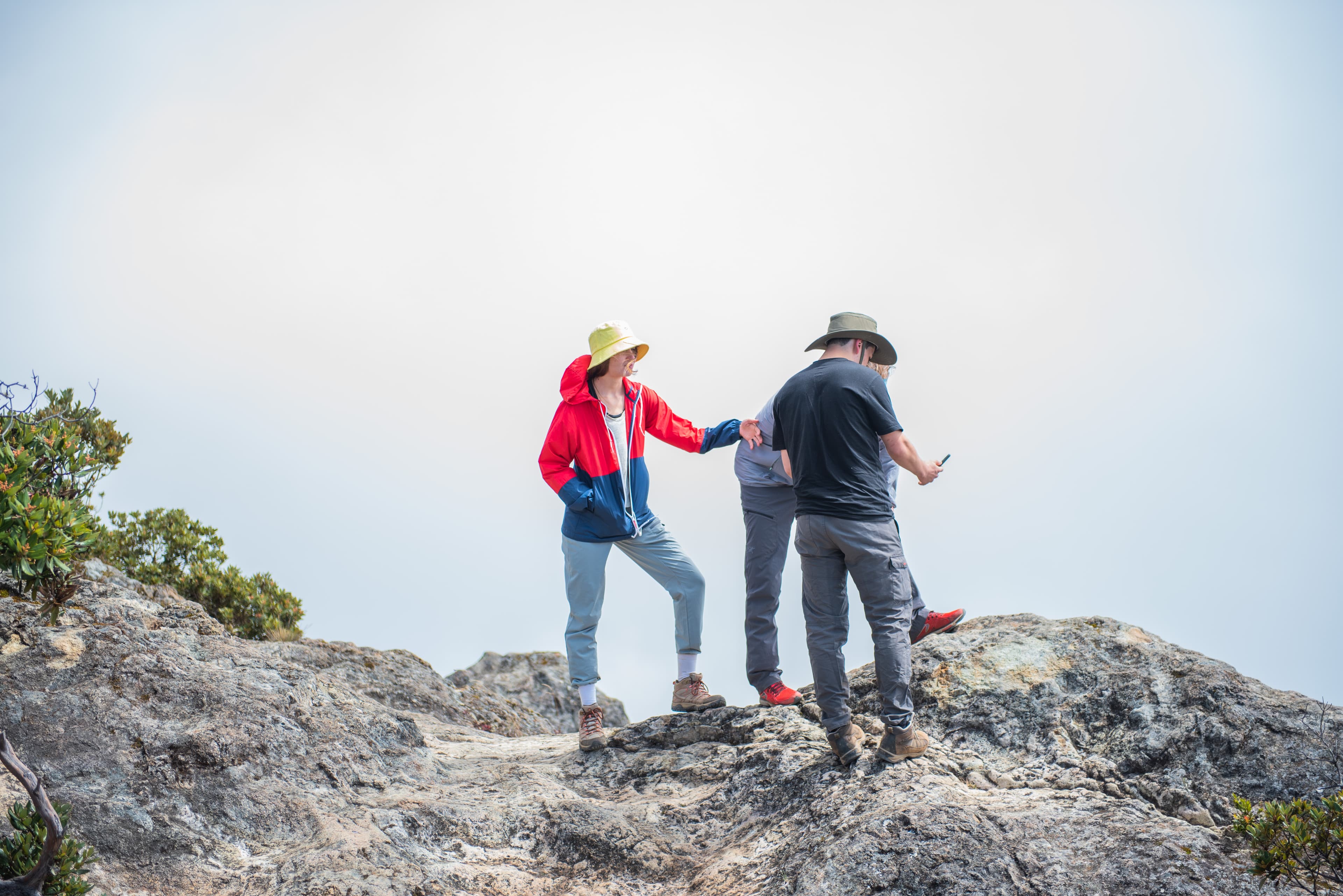 Birders ascending Cerro de la Muerte