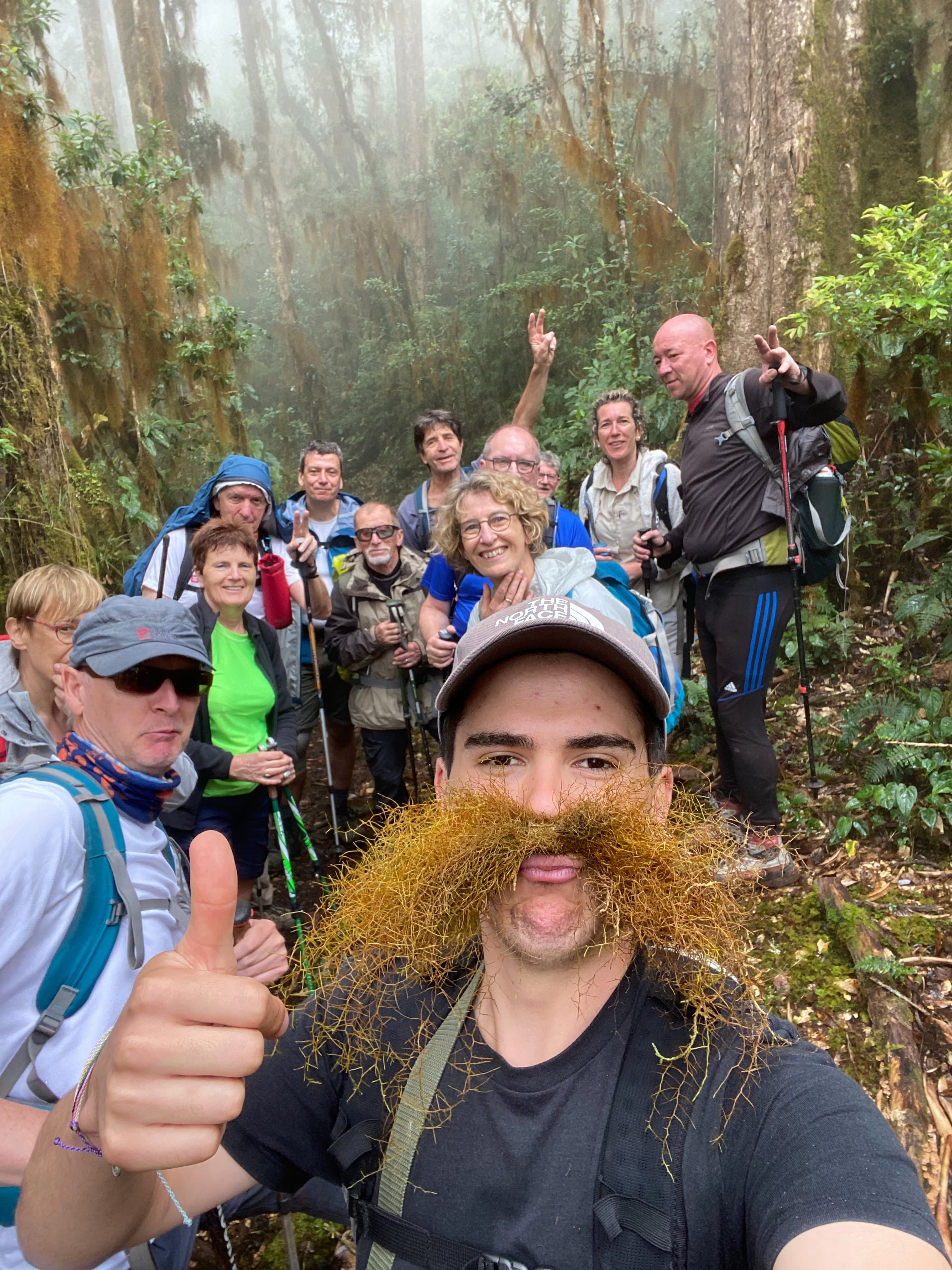 The Fernández group in the cloud forest